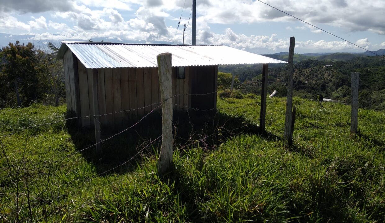 WhatsApp Image 2025-08-24 at 12.41.30 PM