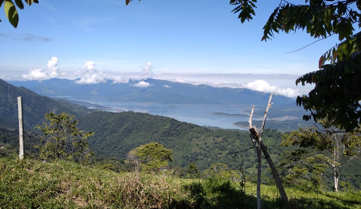 WhatsApp Image 2025-08-24 at 12.41.31 PM (1)