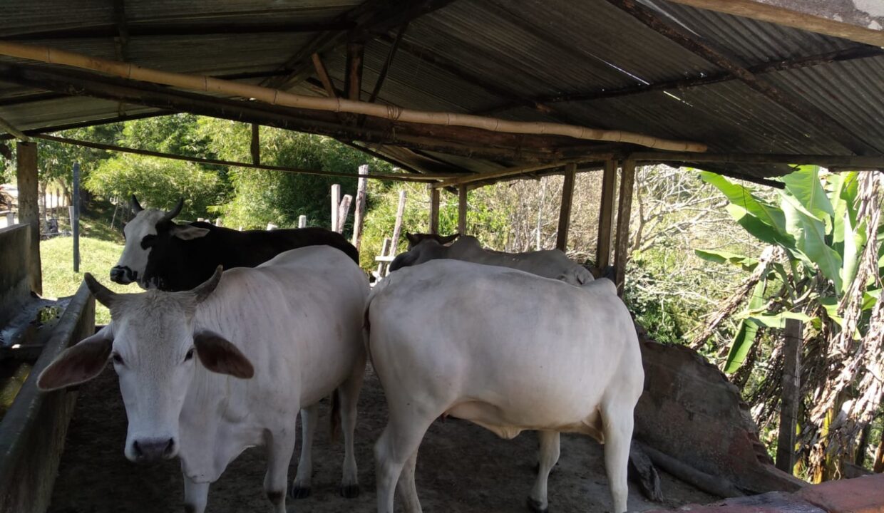 WhatsApp Image 2025-08-24 at 12.41.31 PM