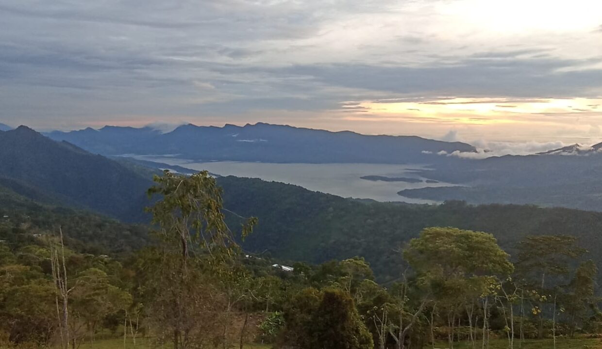 WhatsApp Image 2025-08-24 at 12.41.32 PM (1)