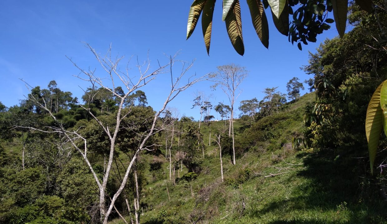 WhatsApp Image 2025-08-24 at 12.41.32 PM