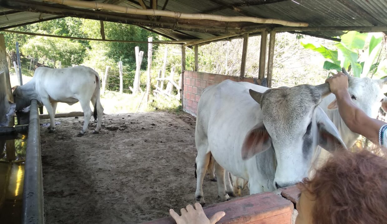 WhatsApp Image 2025-08-24 at 12.41.33 PM (1)