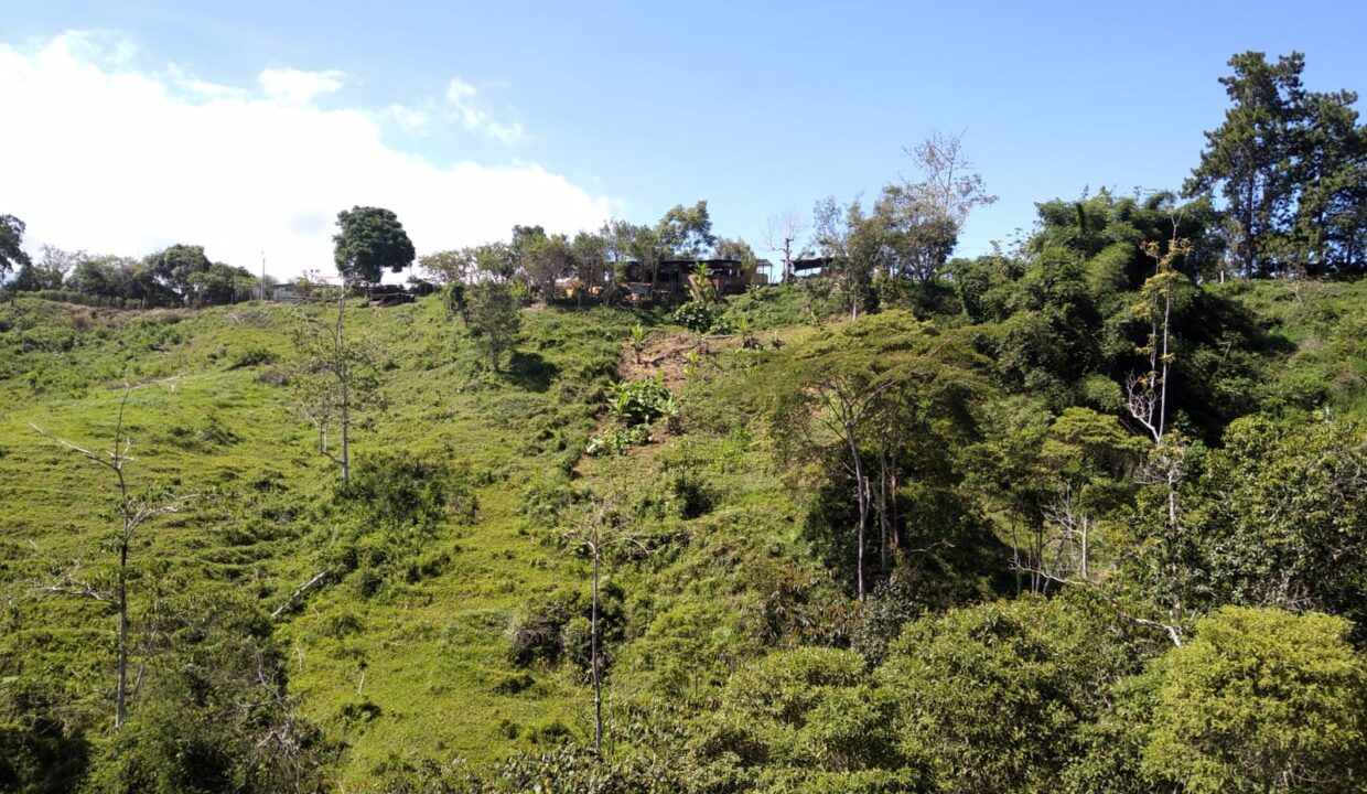 WhatsApp Image 2025-08-24 at 12.41.34 PM