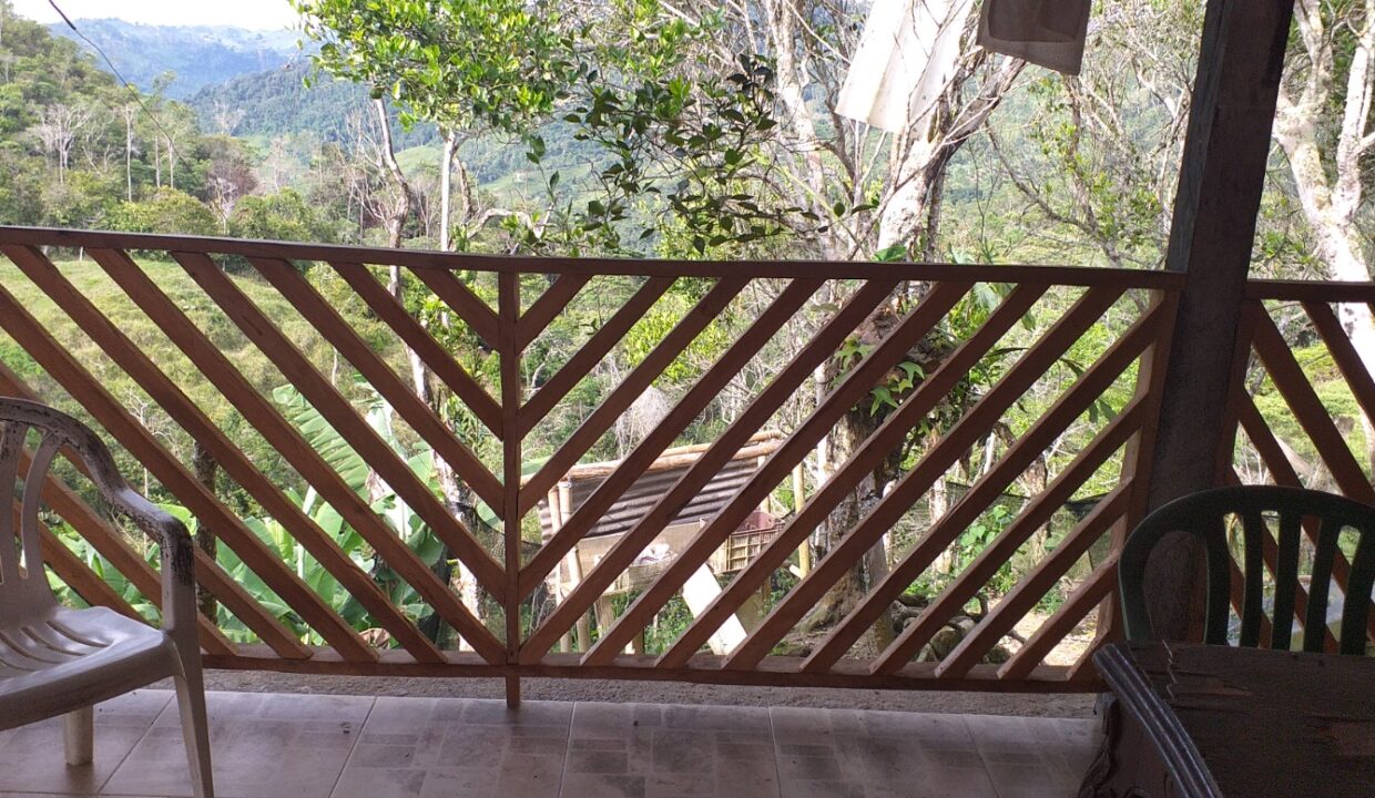 WhatsApp Image 2025-08-24 at 12.41.36 PM (1)