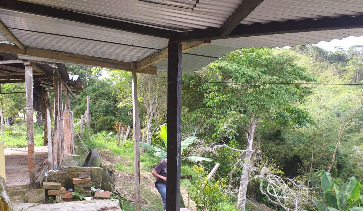 WhatsApp Image 2025-08-24 at 12.41.41 PM (1)