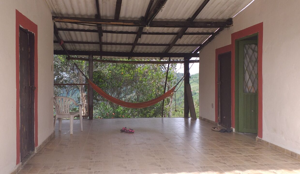 WhatsApp Image 2025-08-24 at 12.41.42 PM