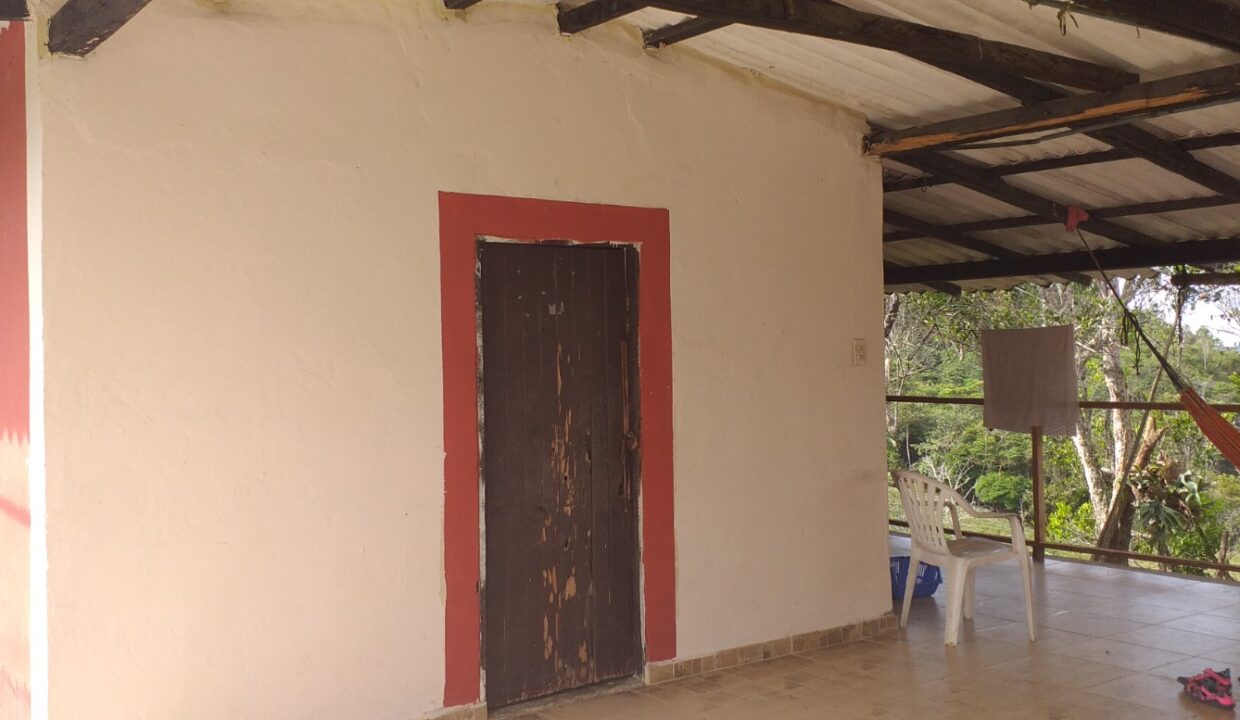 WhatsApp Image 2025-08-24 at 12.41.44 PM